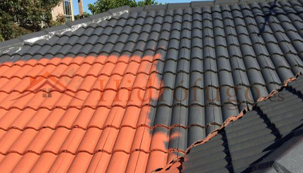 Aplicación de Paint New Roof de Idroless