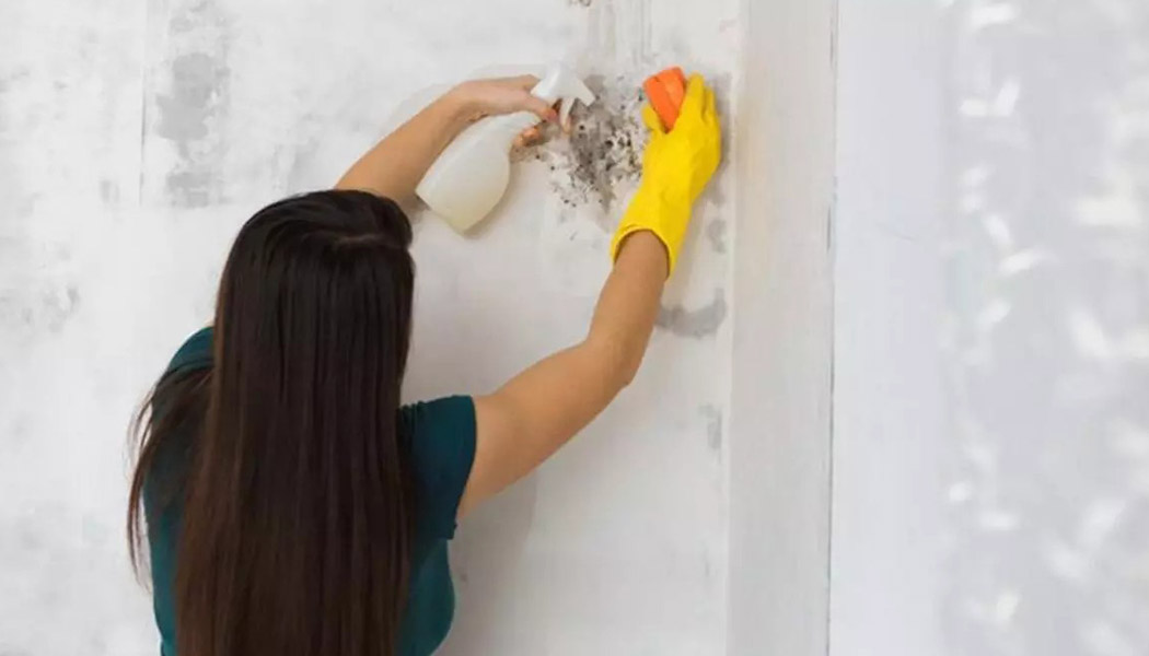 Limpiador listo al uso que elimina manchas de moho y humedad